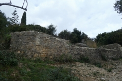 P1080169